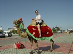 砂漠で駱駝を乗るコース